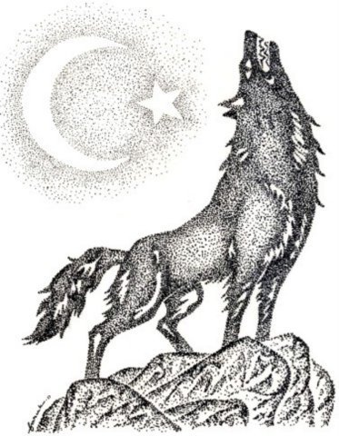 Боз Курд (Серый Волк) - 25 Октября 2008 - Azeri Wolves